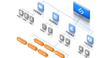 優(yōu)化投資管理 構建高效公司架構的關鍵策略