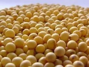 無證莫售 初級食用農(nóng)產(chǎn)品上市銷售必須持有相關(guān)證明